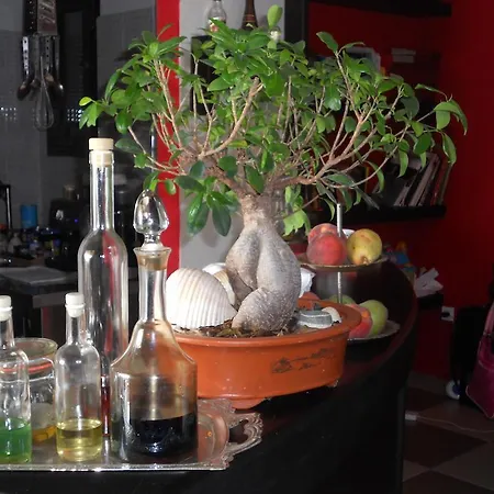 Dominici