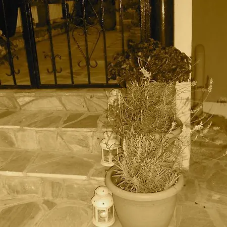 Guest house Dominici