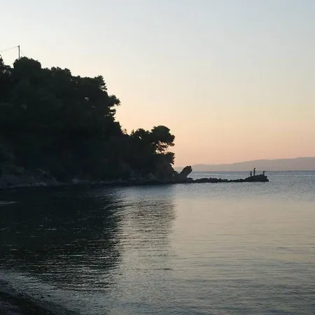 Pensiune Dominici 3*